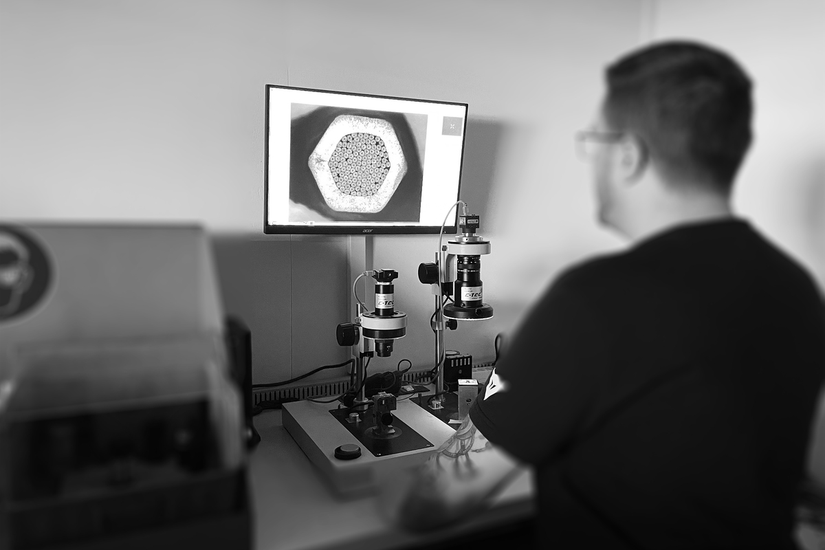 Micrograph examination